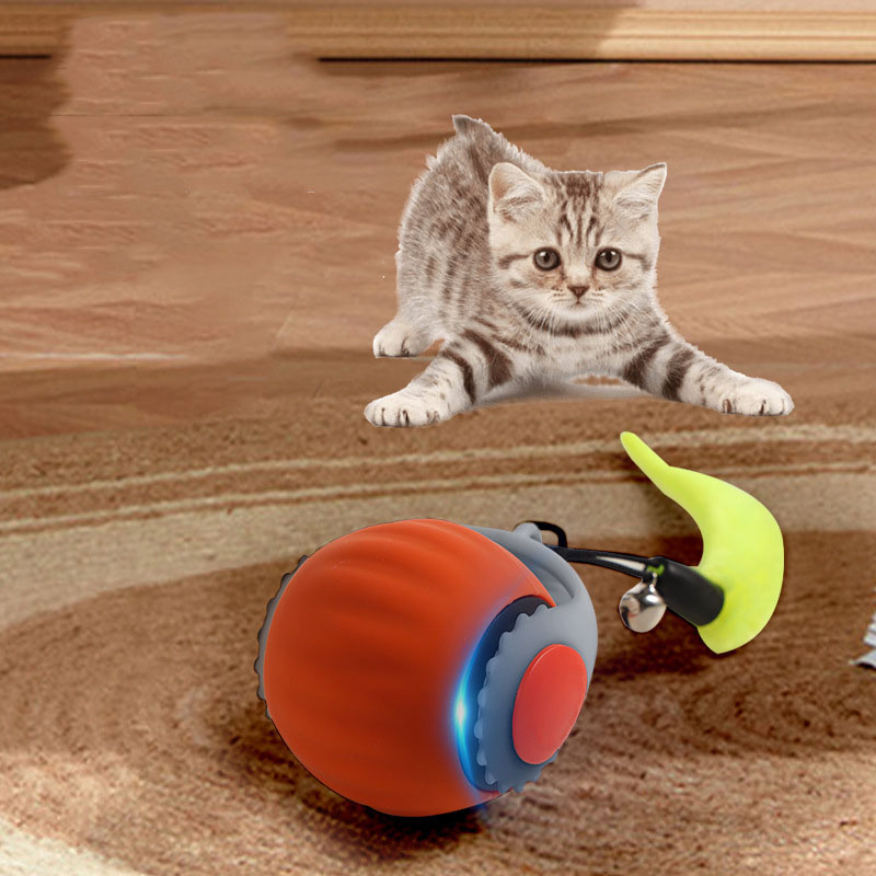 حار الحيوانات الأليفة الذكية ا - مراجعة Power Tools Cat وسعره