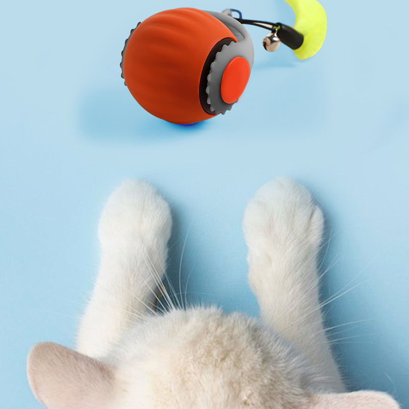 حار الحيوانات الأليفة الذكية ا - مراجعة Power Tools Cat وسعره