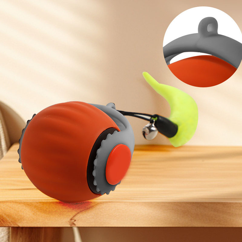 حار الحيوانات الأليفة الذكية ا - مراجعة Power Tools Cat وسعره