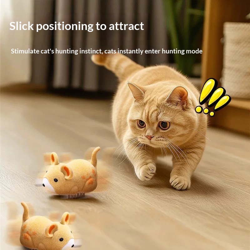 لعبة قطط كهربائية على شكل هامس - مراجعة Power Tools Cat وسعره
