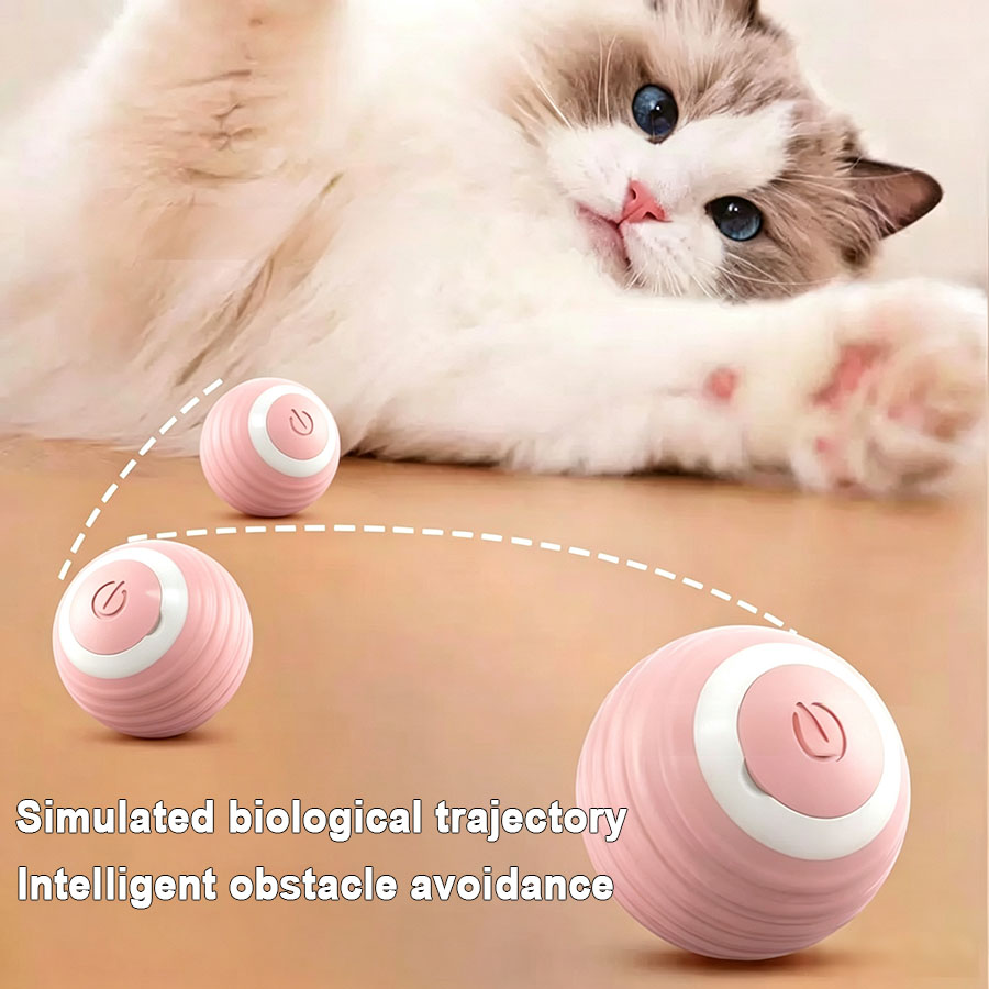 كرة تفاعلية للقطط، كرة كهربائي - مراجعة Power Tools Cat وسعره