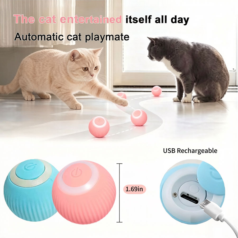 كرة تفاعلية للقطط، كرة كهربائي - مراجعة Power Tools Cat وسعره